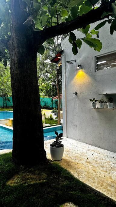 Serenity Farm Stay Hampāpura Esterno foto