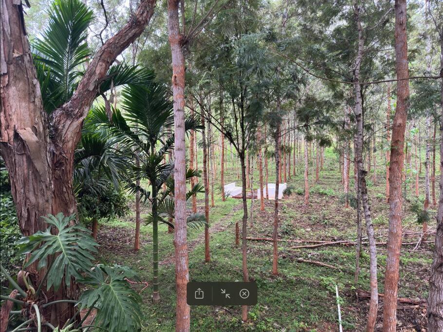 Serenity Farm Stay Hampāpura Esterno foto