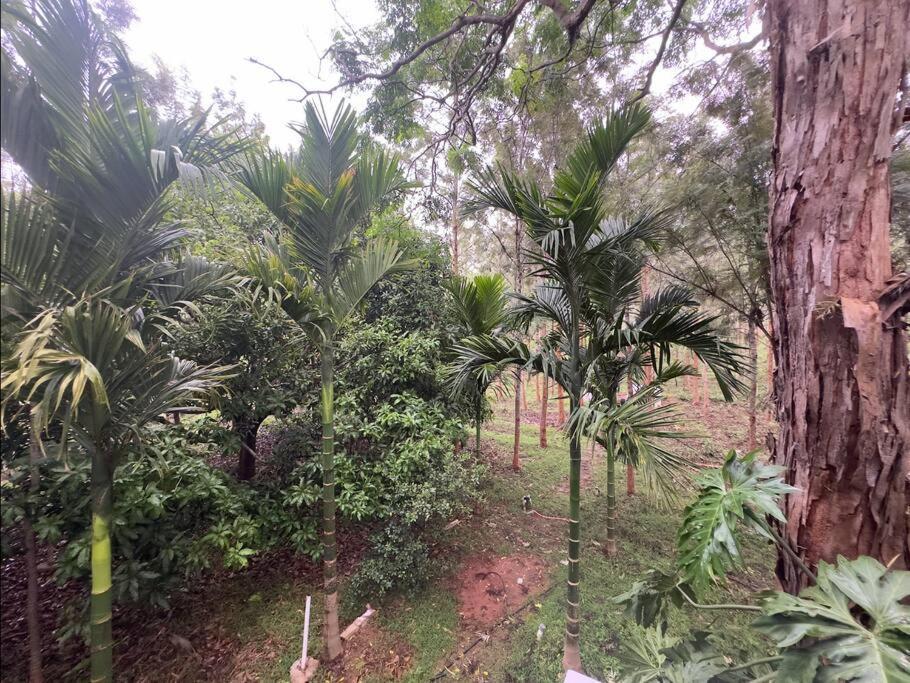 Serenity Farm Stay Hampāpura Esterno foto